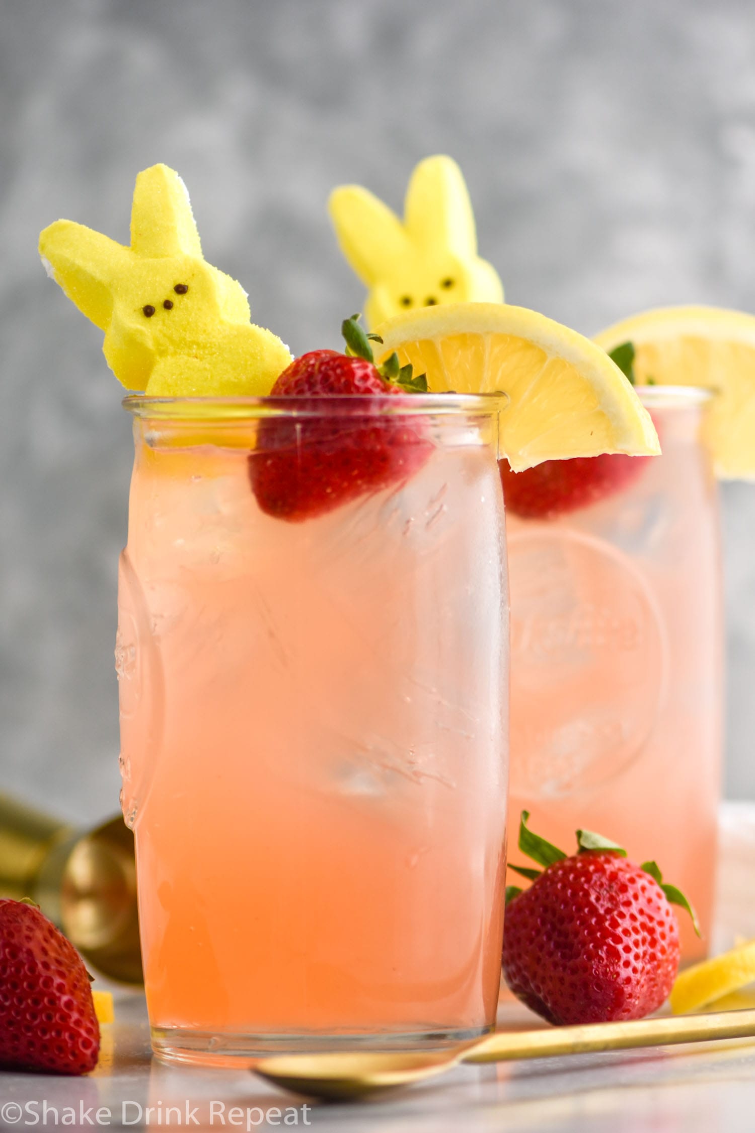 Drunk Bunny - Shake Drink Repeat