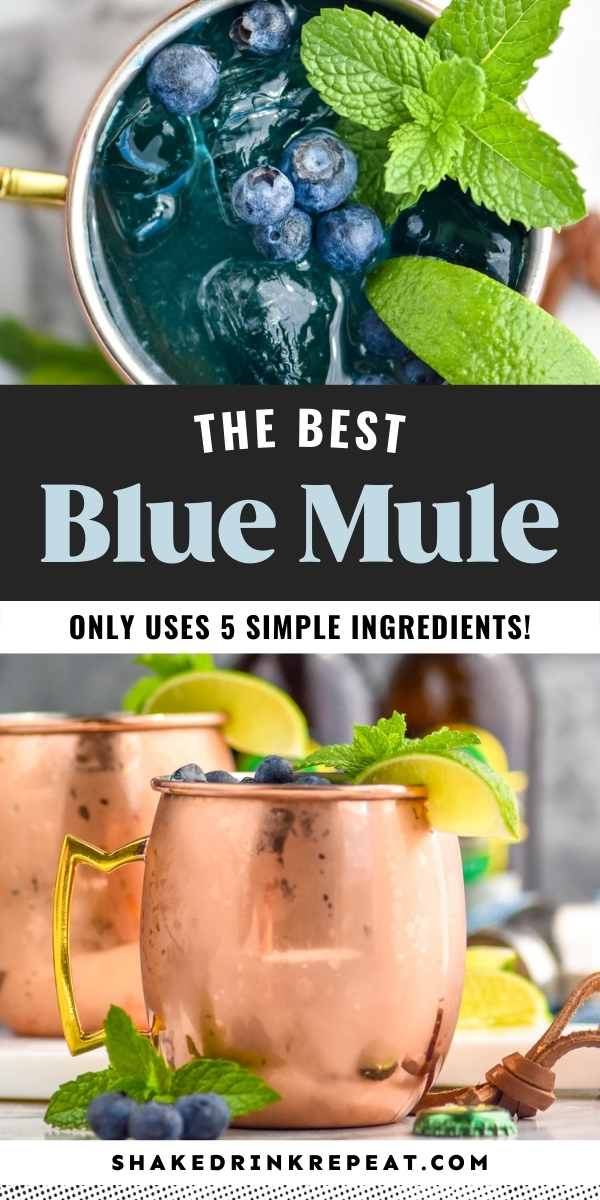 Blue Mule - Shake Drink Repeat