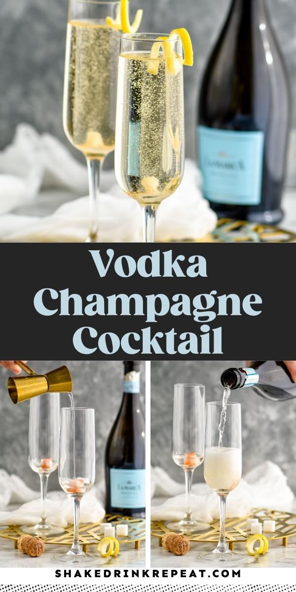 Vodka Champagne Cocktail Recipe Shake Drink Repeat 3927